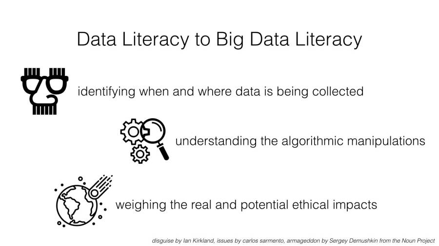 Some extensions to define "Big Data Literacy".