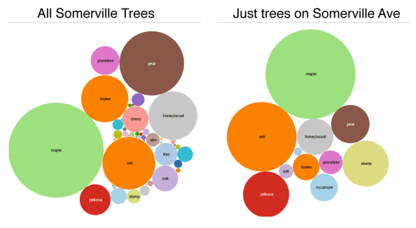 Comparison of tree populations in the city and along one street (large bubbles mean more trees)